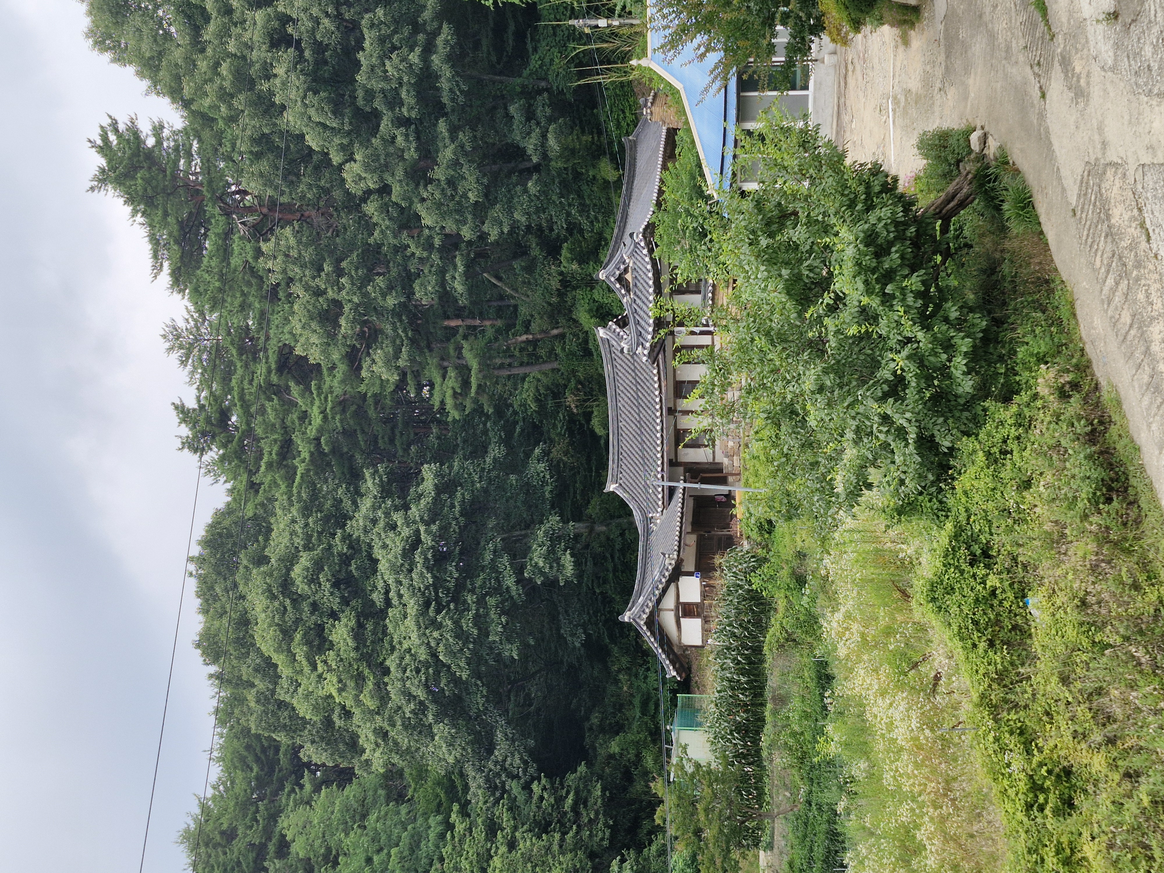 멀리서 본 김택준 가옥